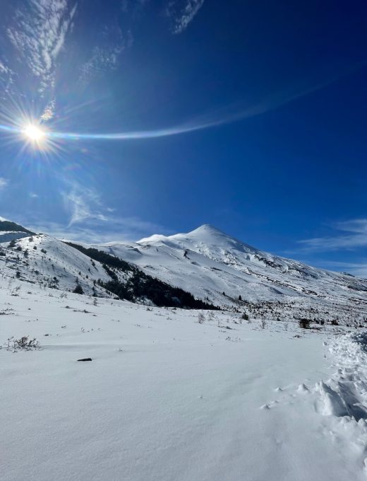 92878dda-7eff-419b-9445-04e0a39f204d 92878dda-7eff-419b-9445-04e0a39f204d