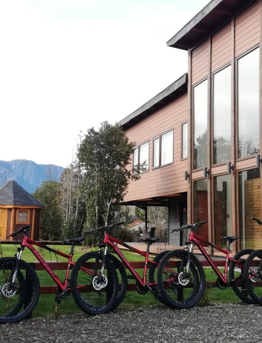 BICICLETA 01 BICICLETA 01