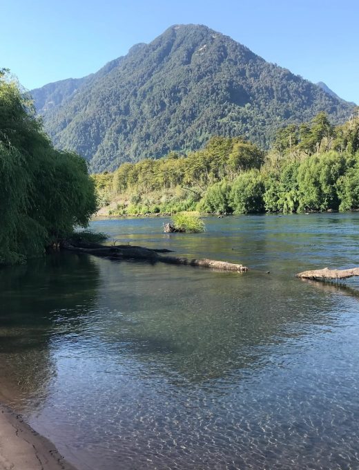 PARQUE HUEÑU 03 PARQUE HUEÑU 03