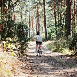 bicycle-tourism-road-biking-trails-bicycles-for-2022-09-15-03-11-34-utc